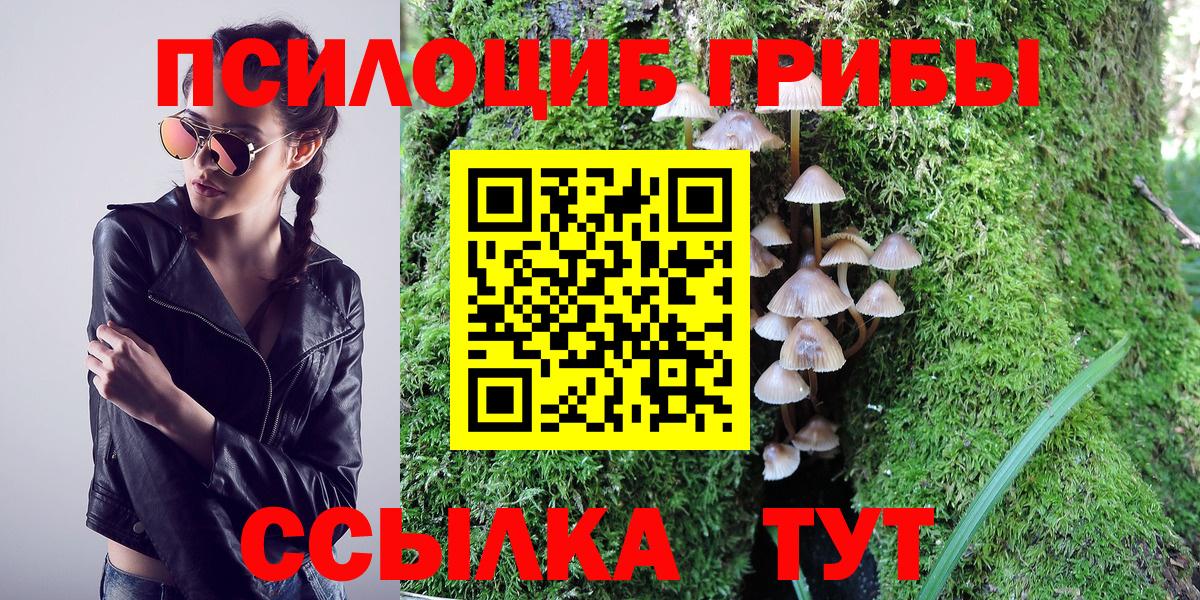 Галлюциногенные грибы мухоморы  Галлюциногенные грибы Magic Shrooms  Вход с VPN  даркнет сайт  Ейск 