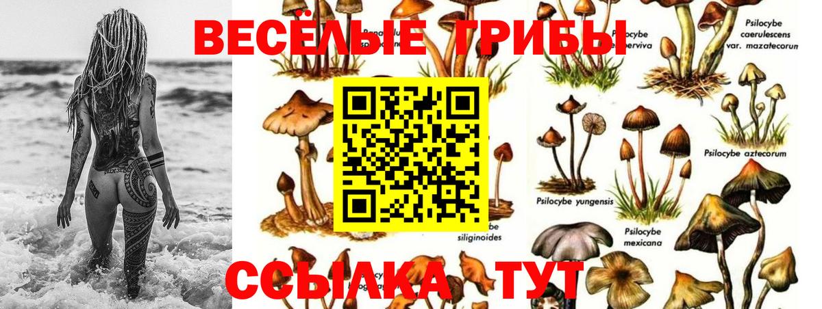 Alpha PVP СК кристаллы  Ейск  ГАШИШ  Конопля  Вход с VPN  Меф МЯУ МЯУ кристаллы  Меф МЯУ МЯУ  Экстази  COCAIN  Гашиш 